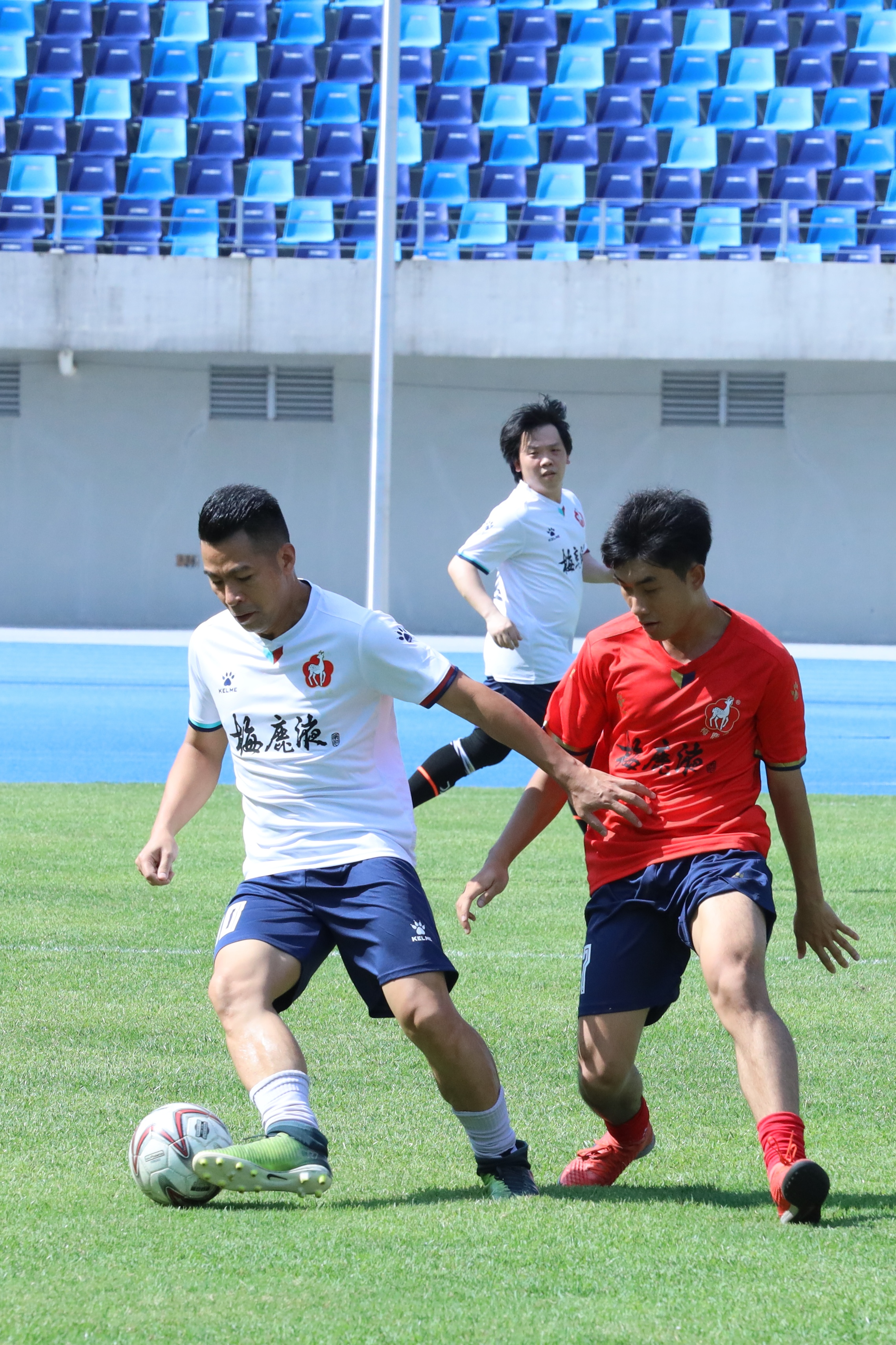 梅鹿液江门总代理,梅鹿液江门