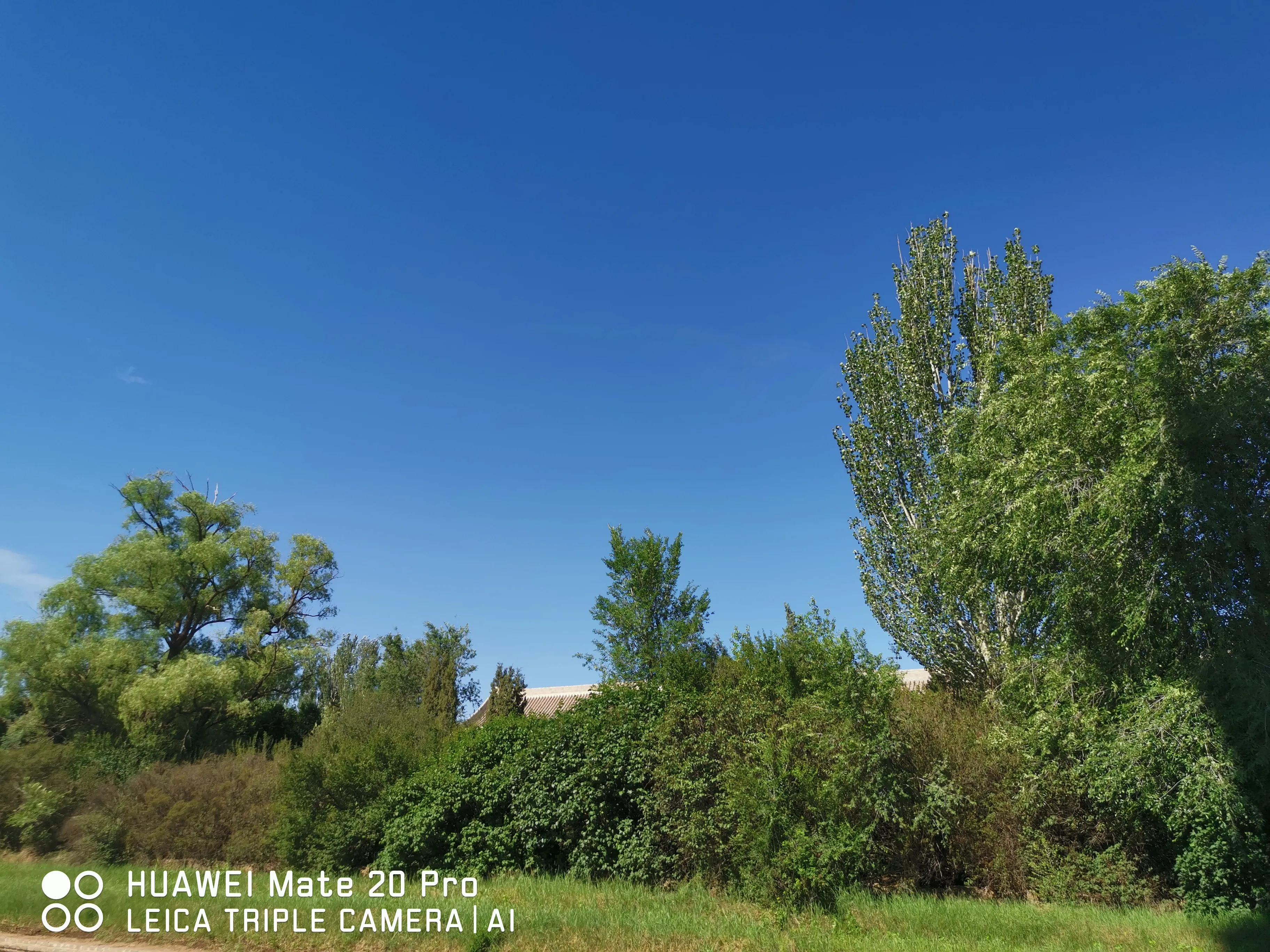 闲话启功书法作品欣赏,闲话汪曾祺书籍