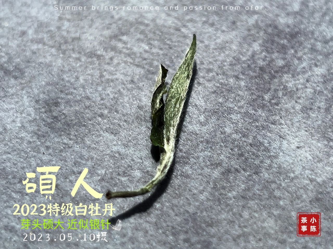 买茶不踩坑推荐,618千万别买踩雷单品