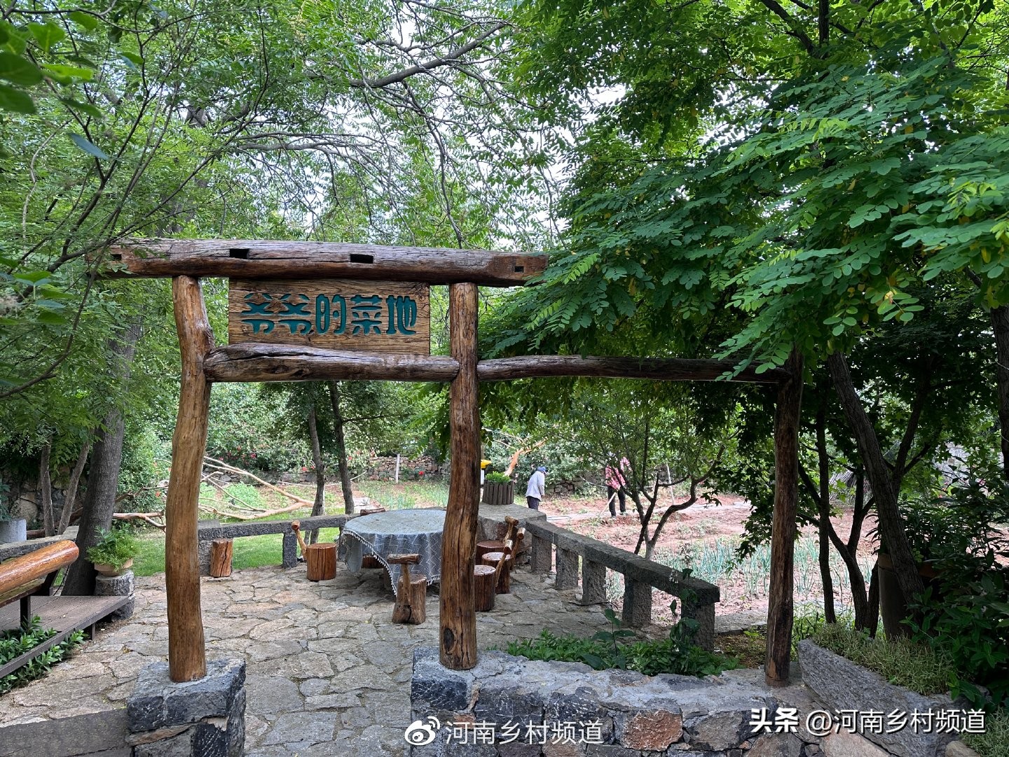 云上院子完整版,云上院子永安