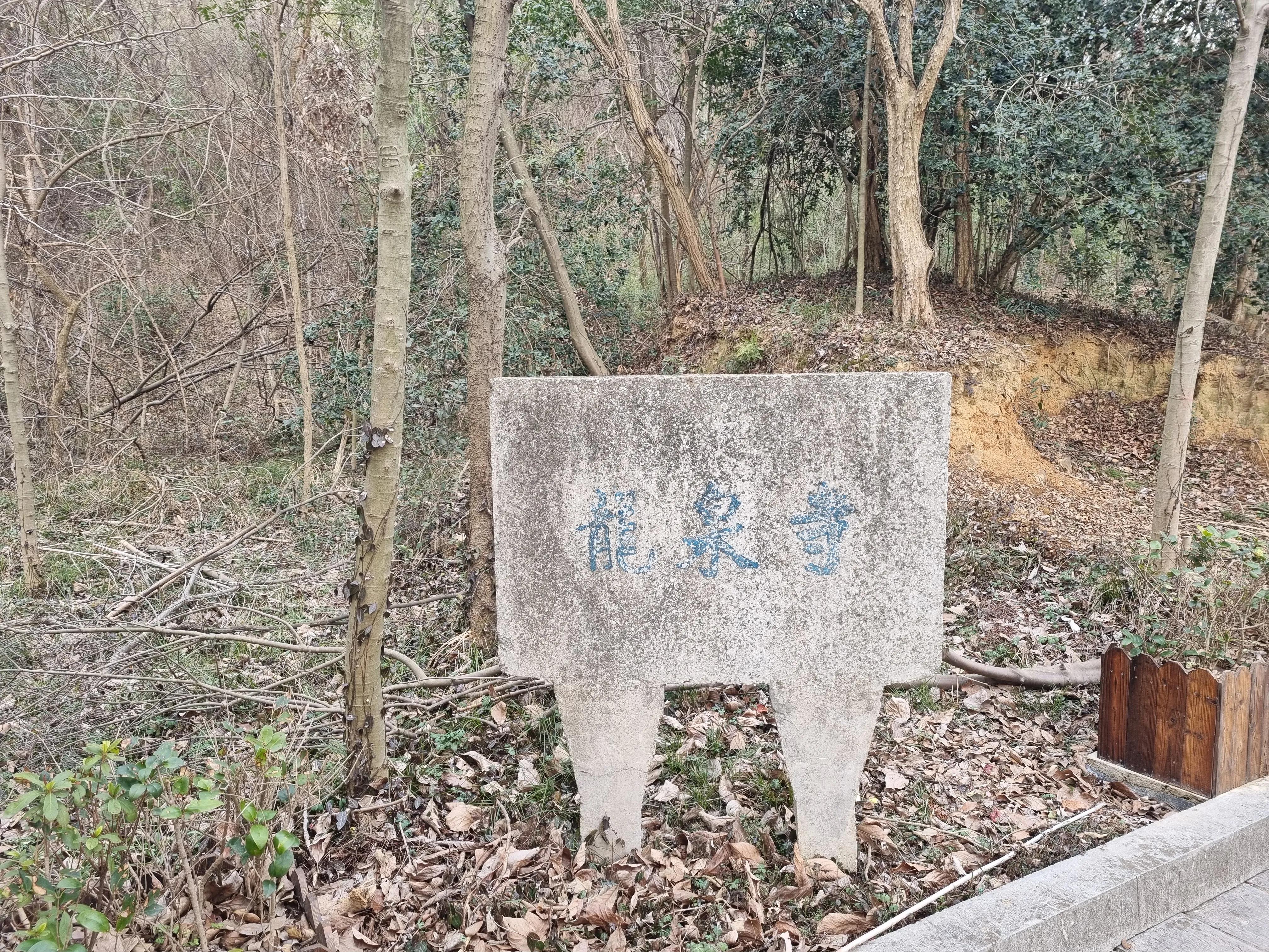 南京龙泉寺。寺里有一棵唐朝的腊梅树。