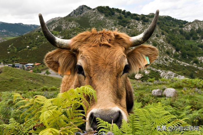标普500指数的11个板块普遍收涨,标普500指数调整到什么点位