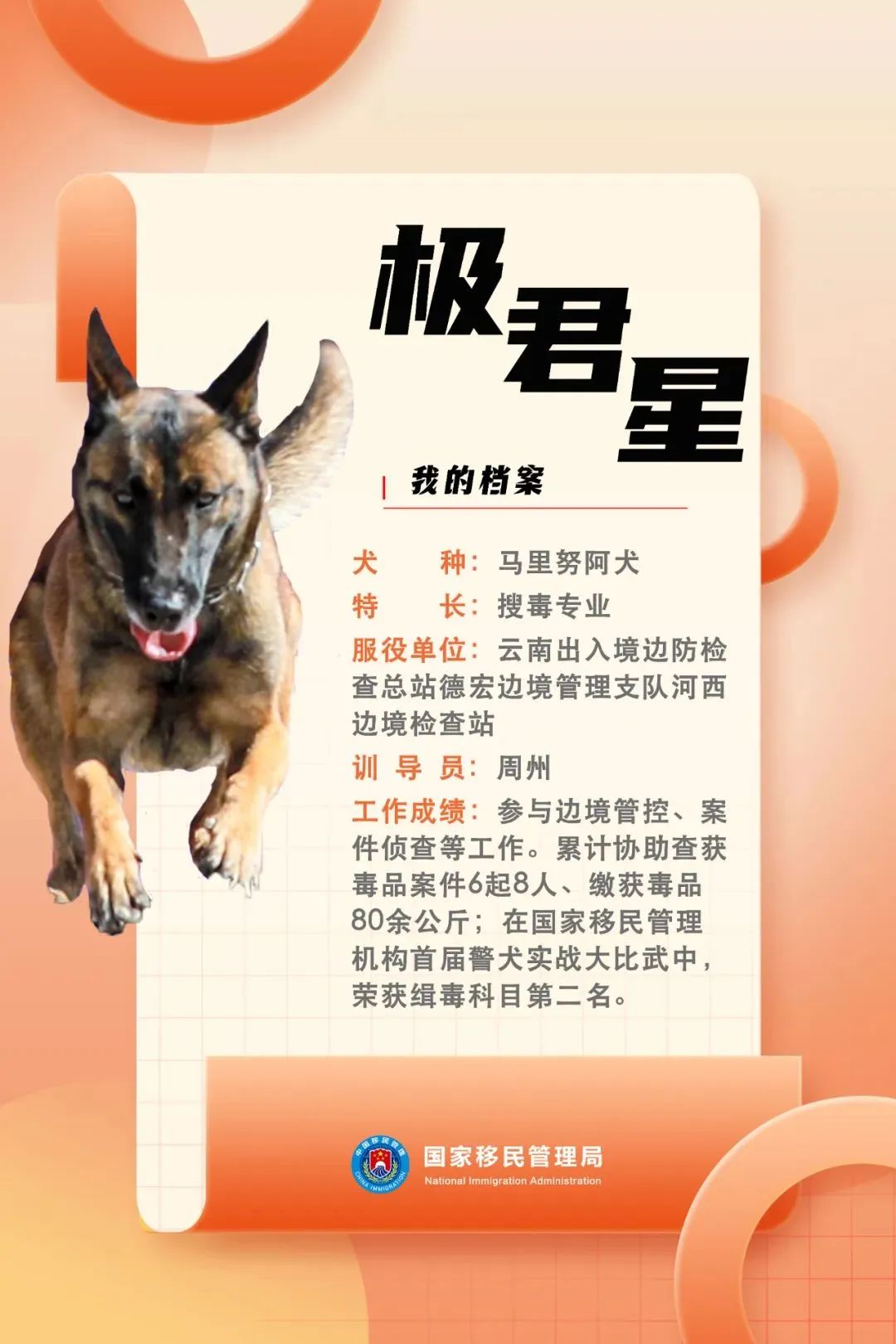 功勋犬天狼,功勋犬挑战不可能