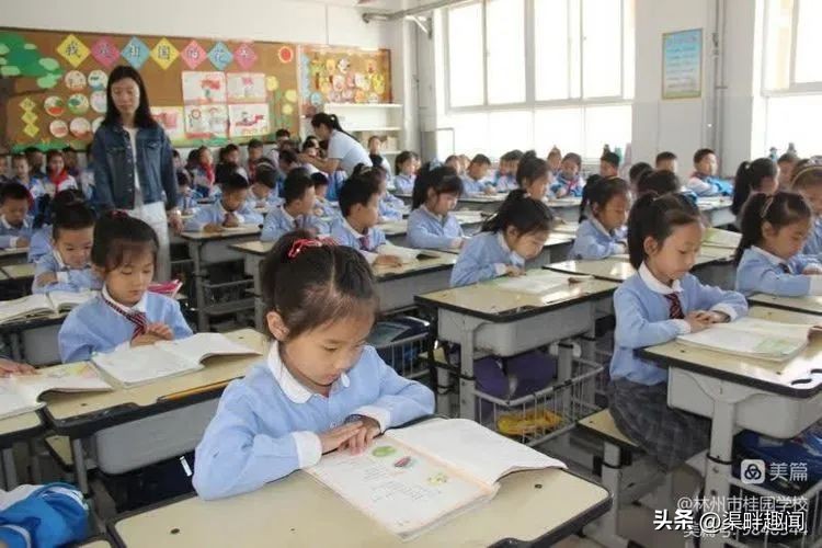 聚焦德育活动促学生全面发展,聚焦入学助力儿童成长公开课