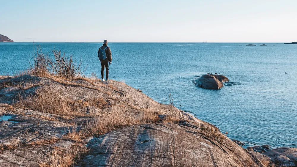 新东方副总裁辞职感悟,新东方高管事件