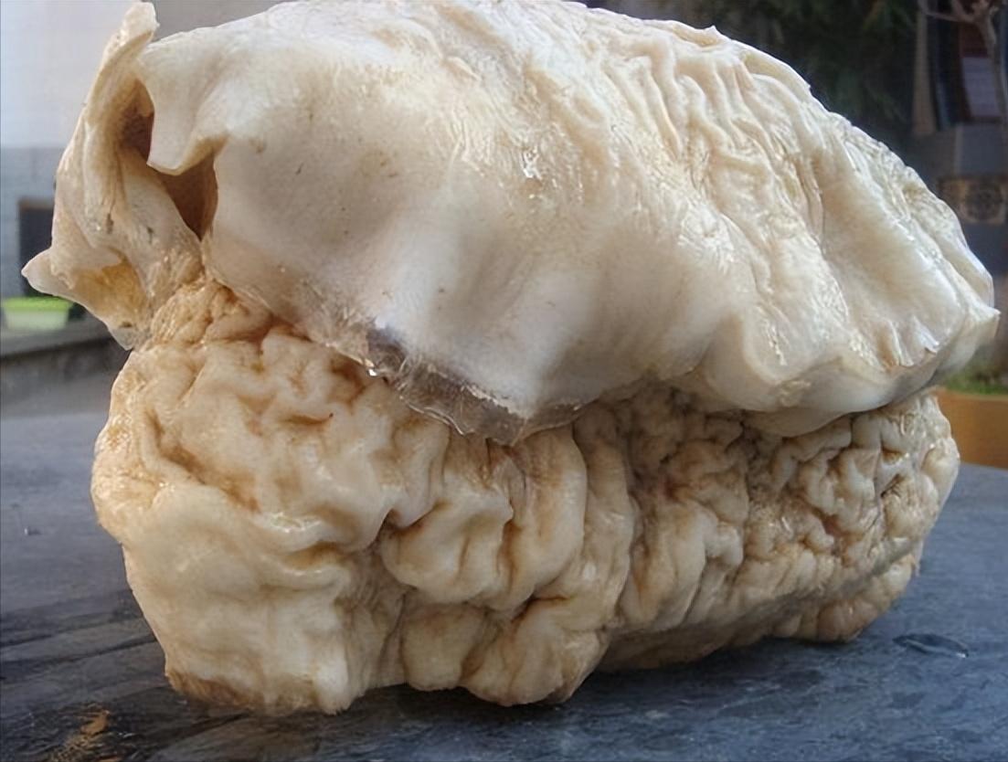 故事：药王唐慎微的离奇见闻，巴蛇护灵药，治酒虫，雀疮，传药典