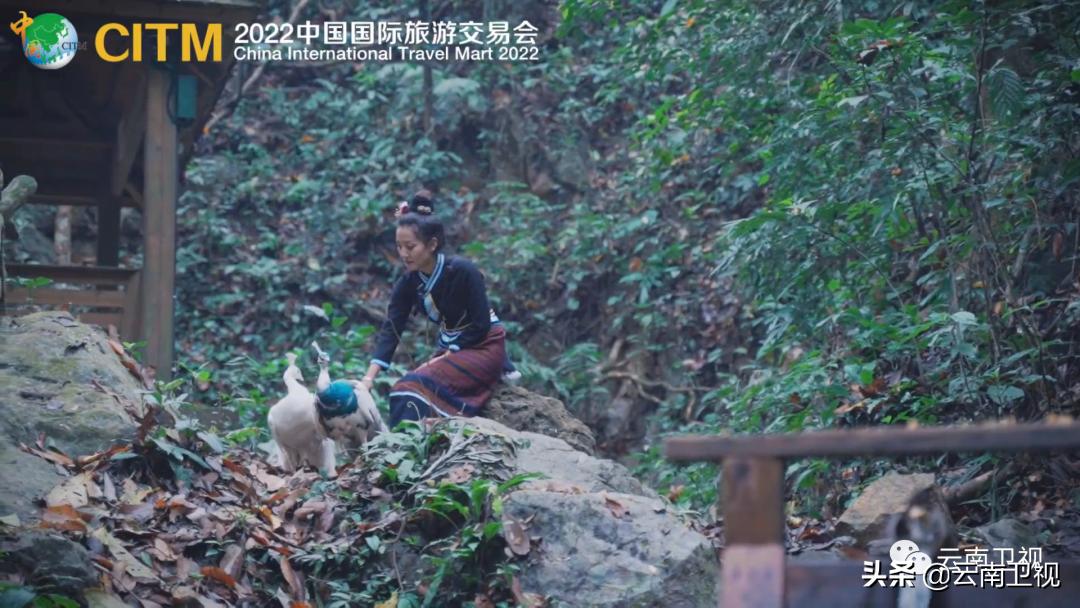 2022中国国际旅交会西双版纳,西双版纳边境贸易旅游交易会