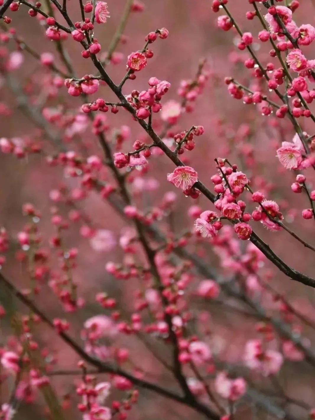 嘿好久不见剧本评测,嘿好久不见歌词