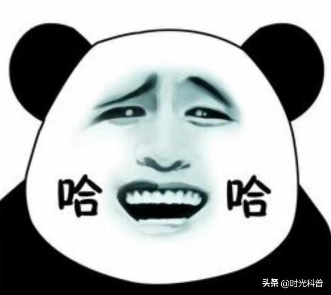 开心搞笑治愈的故事,搞笑治愈故事