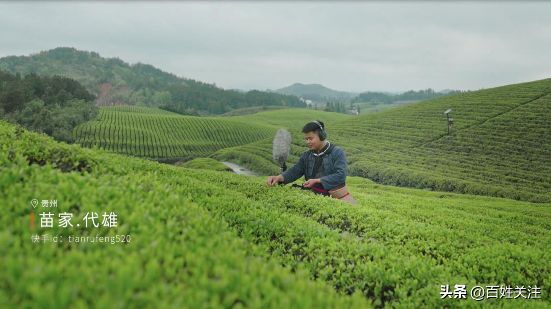 辞职后我决定徒步一百座山,辞职后我回仙村当农民