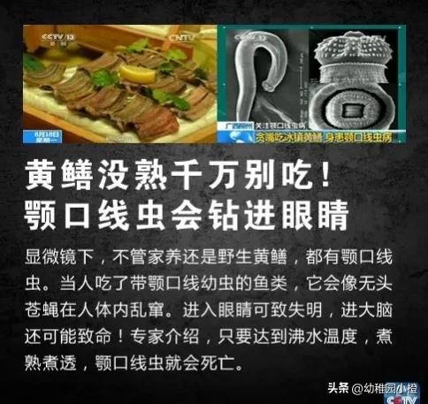女子体内排出4米长绦虫是什么,宁德女子体内排出4米长绦虫