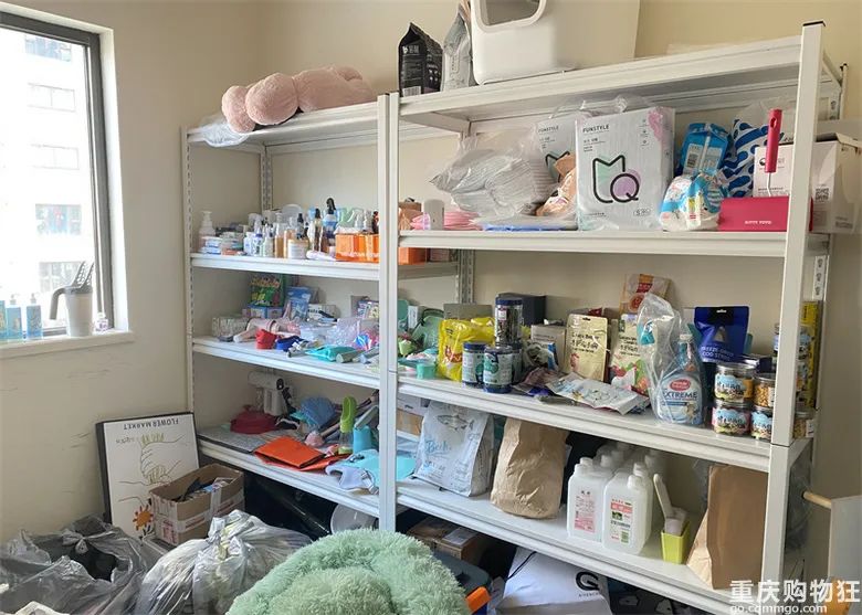 宠物博主有多赚钱,宠物博主怎么盈利