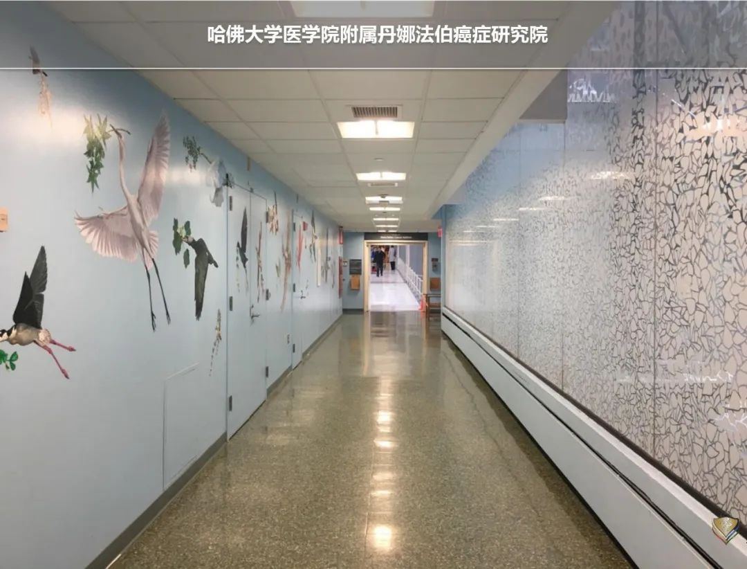 为什么买中端医疗,一般家庭买中端医疗还是高端医疗