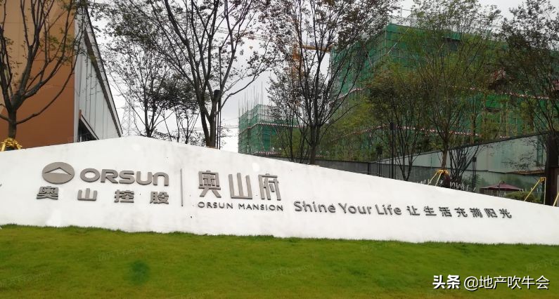 业主投诉：奥山集团入渝首项目延期交房违约金强制用车位券抵扣