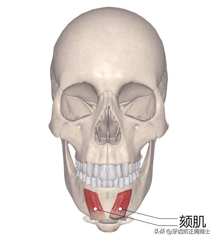 闭嘴巴下巴有核桃纹做什么手术,为什么下巴会有像核桃一样的纹路