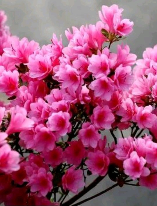 两口子三观不合是不是只能离婚,三观不合夫妻过得特别累