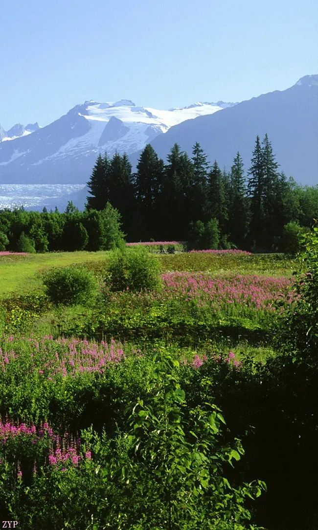 太美了100张人间美照,太美了最美中国红