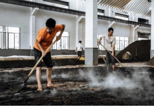 茅台王子和飞天迎宾哪个更像飞天,茅台酒和迎宾酒的区别怎么选