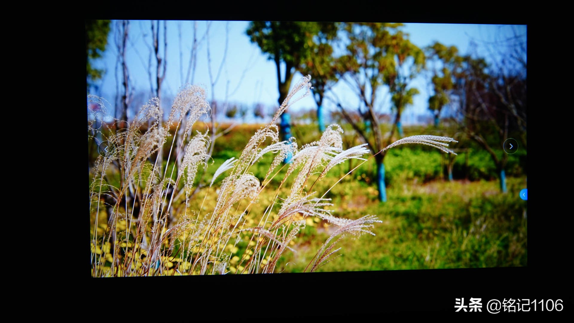 小明q1pro投影仪和米家投影仪,小明q1pro和极米newz6x投影仪哪个好