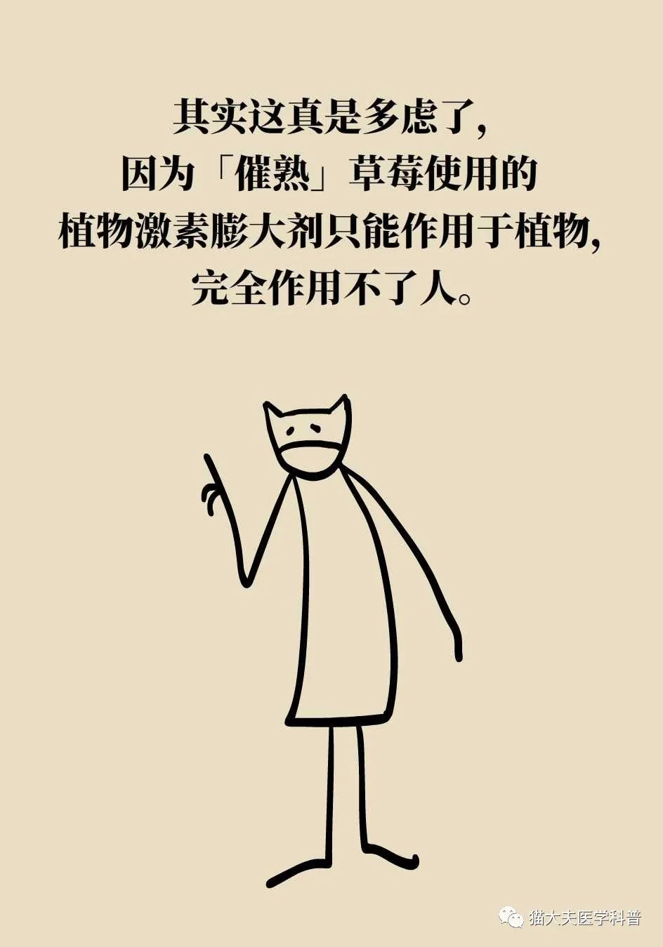 热量比较低适合减肥夜晚吃的水果,夏季水果推荐减肥吃哪些