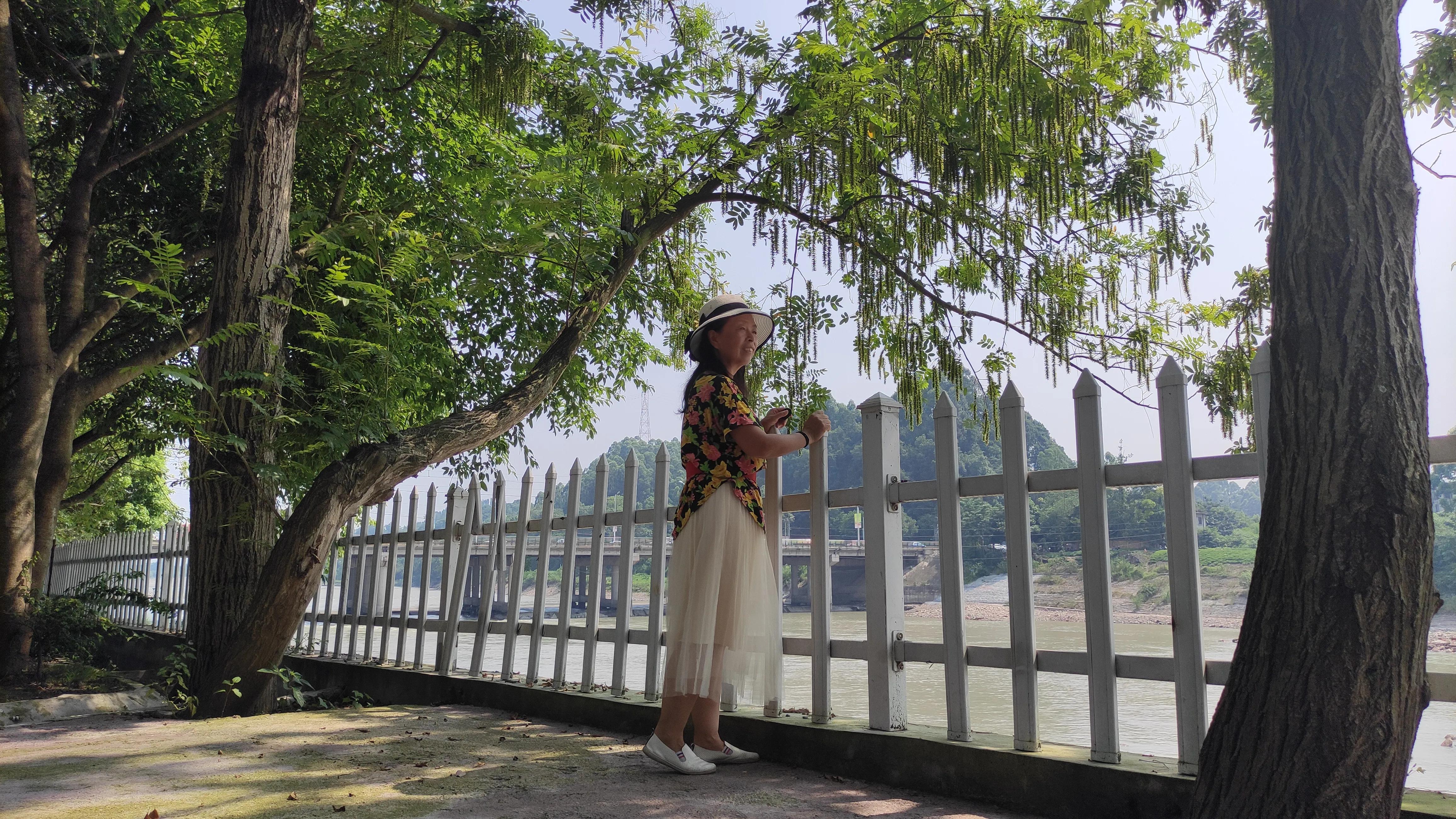 乐山金沙半岛烧烤,乐山金沙半岛图片