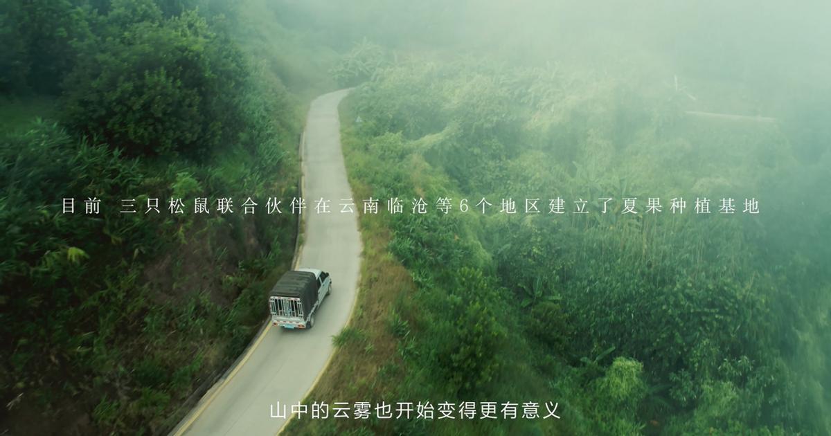 三只松鼠上市的电商启示录,从互联网思维看三只松鼠