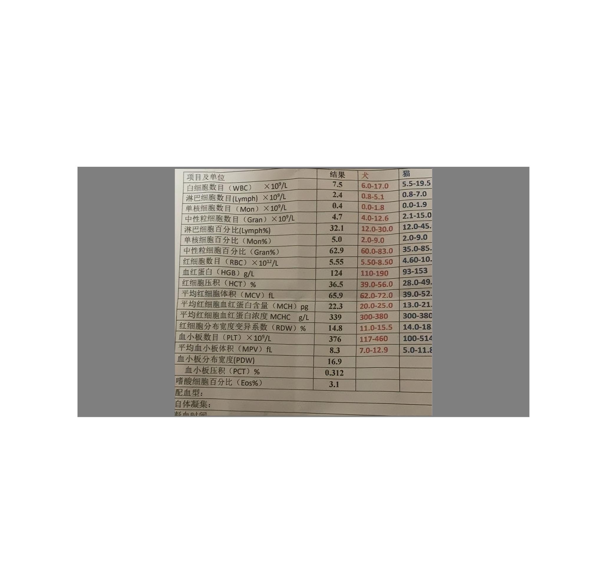 细小治愈后还是没精神,细小治愈了站不起来了