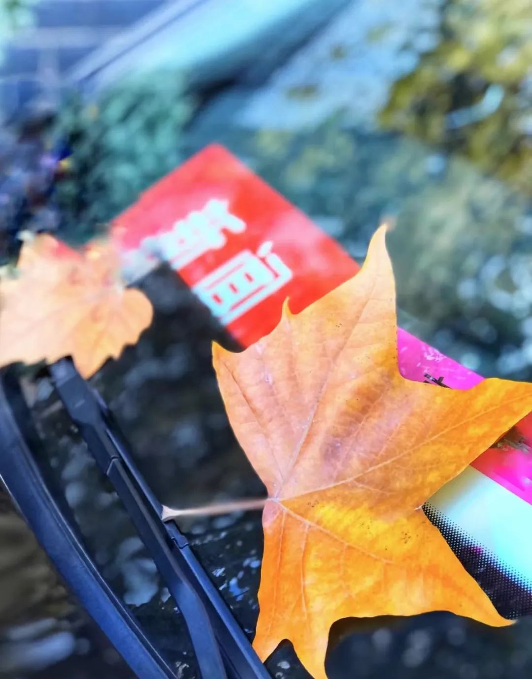 美丽的人民日报大院，我们温暖的家