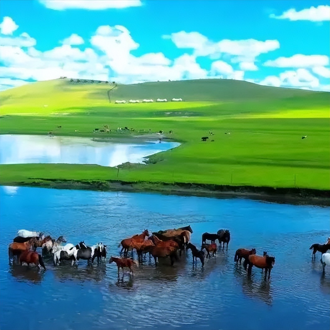 向北向北！|“美”在内蒙古