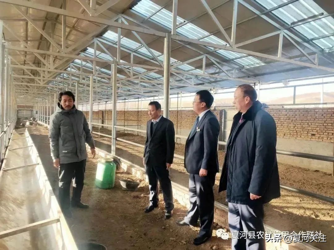 甘南夏河县信用联社,我县召开党建金融工作推进会