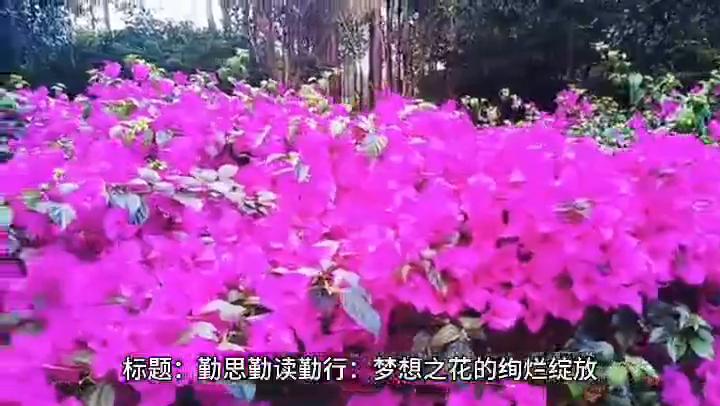 勤学勤思勤行,勤学勤思勤行尽心尽力尽责