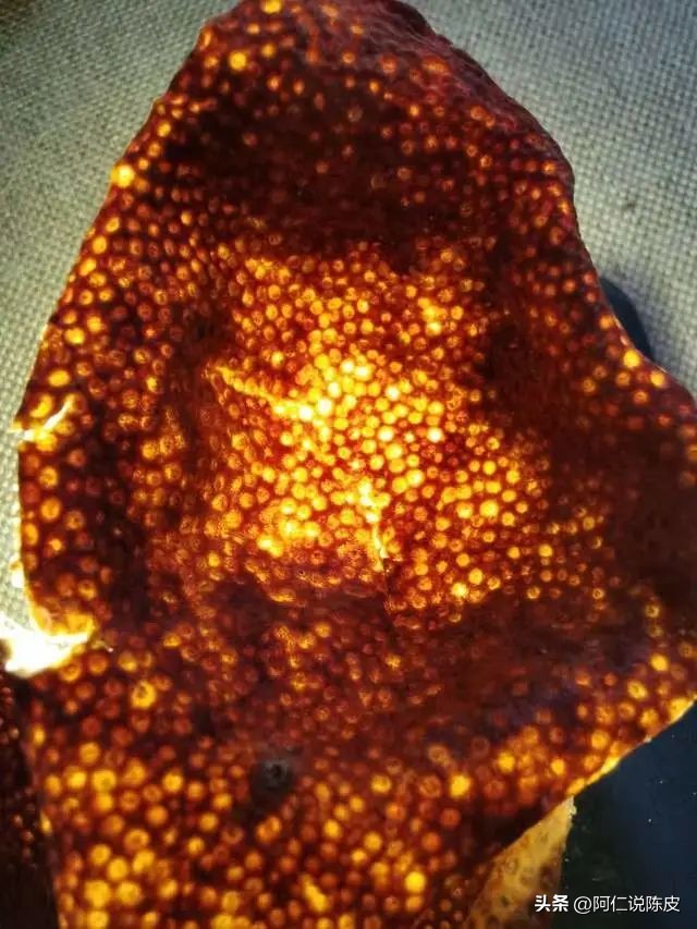 阿仁陈皮,阿仁谈陈皮