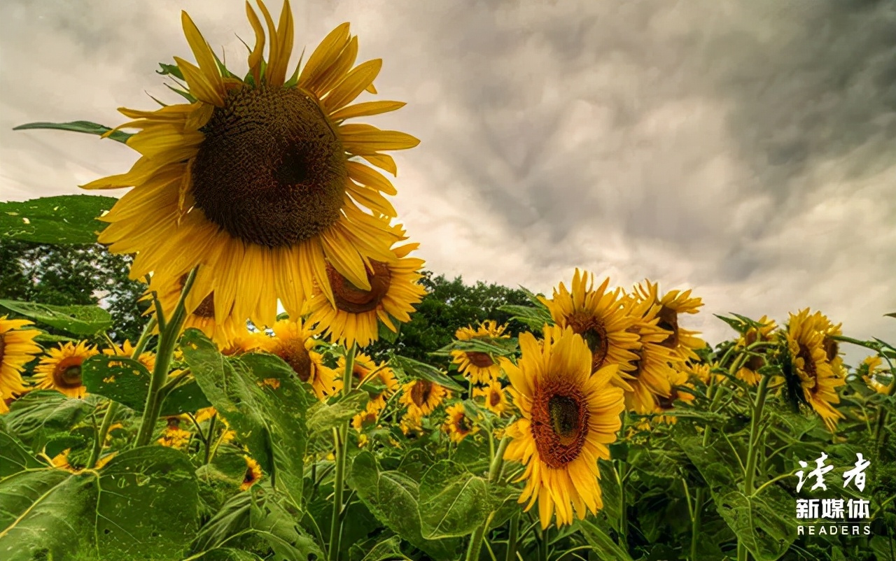 深圳女大学生自曝做高端保姆,深圳女大学生自爆做保姆的崩溃