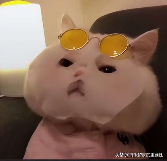 脸干燥补水面膜,夏天补水效果最好的睡眠面膜