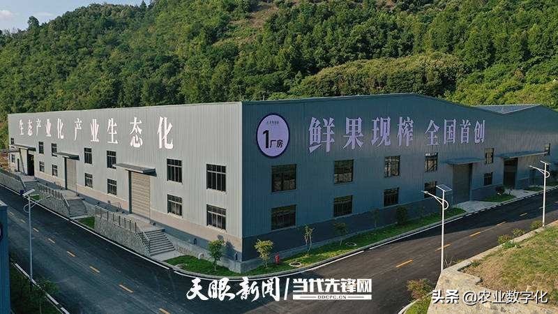 乡村振兴中农业发展有哪些机遇,乡村振兴农业产业发展思路与对策