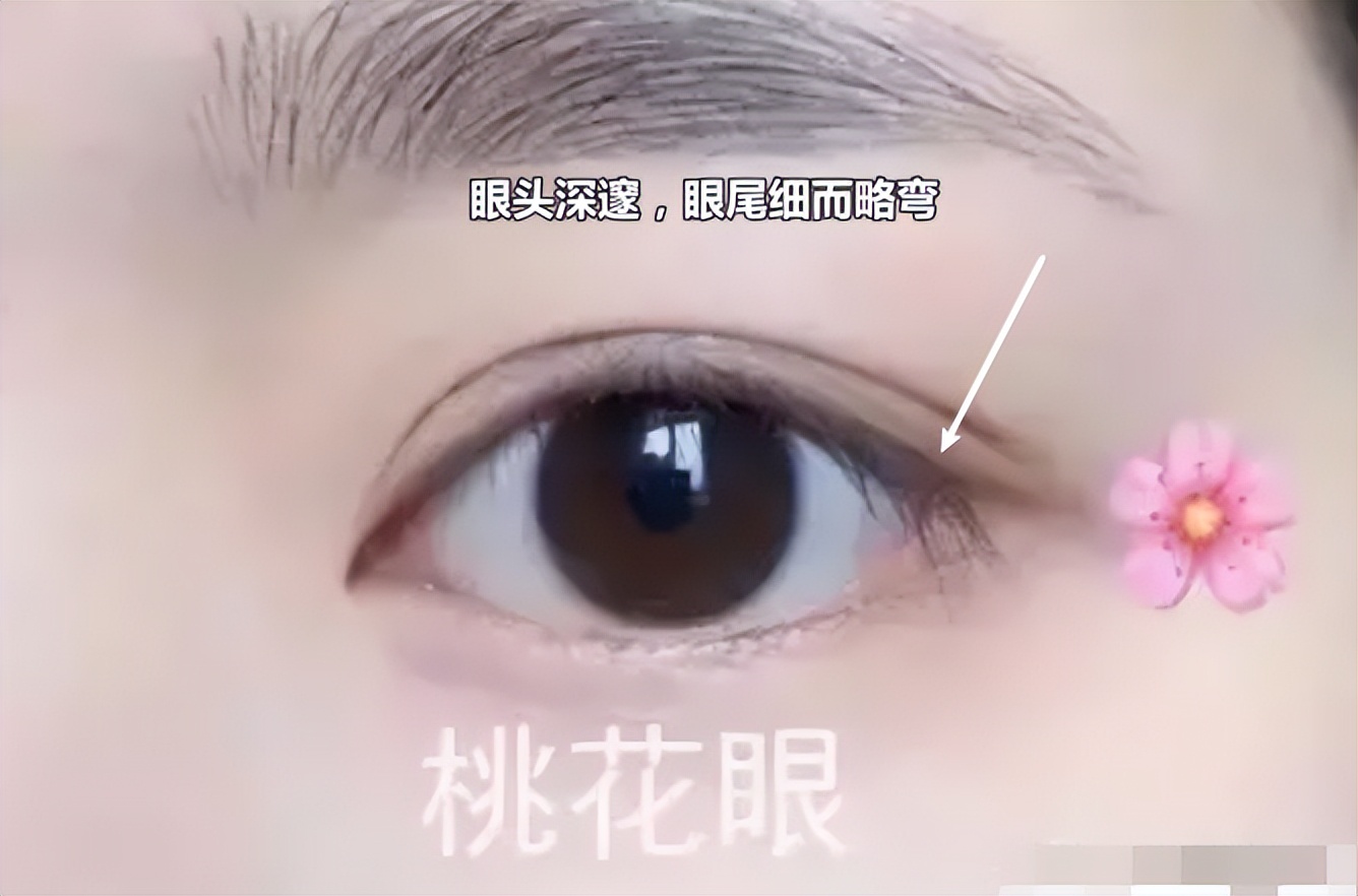 一双眼睛拯救一张脸你属哪种眼型,一双眼拯救一张脸眼型决定了颜值