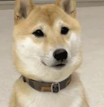 21届毕业生有多少人没找到工作,没找到工作的毕业生看过来