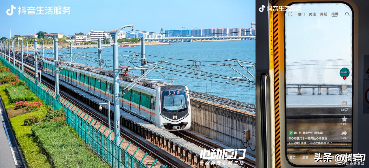 鎶栭煶蹇冨姩鍔╁姏,鎶栭煶蹇冨姩鍩庡競璁″垝