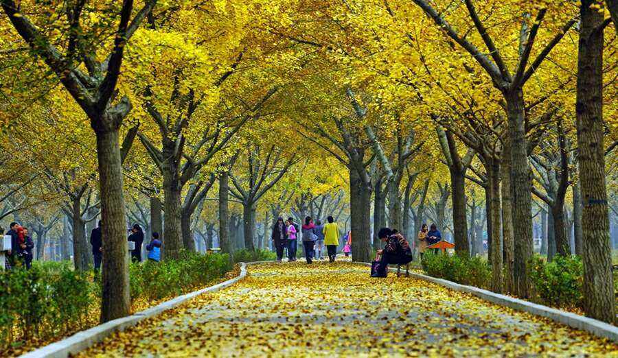 临沂vs东营谁赢了,临沂和郯城打过仗吗