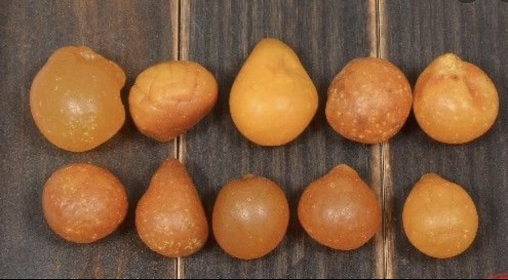 琥珀和蜜蜡区别视频,琥珀和蜜蜡有什么区别呢