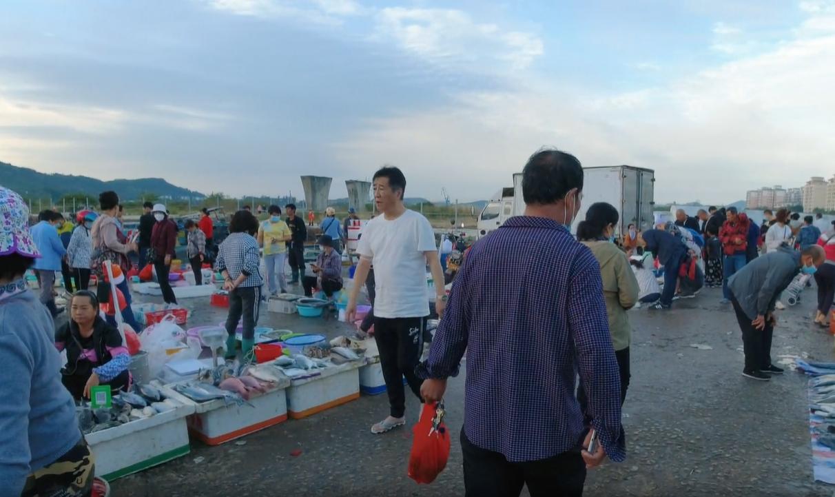 三亚大鲍鱼批发市场,三亚去哪里买海鲜最便宜