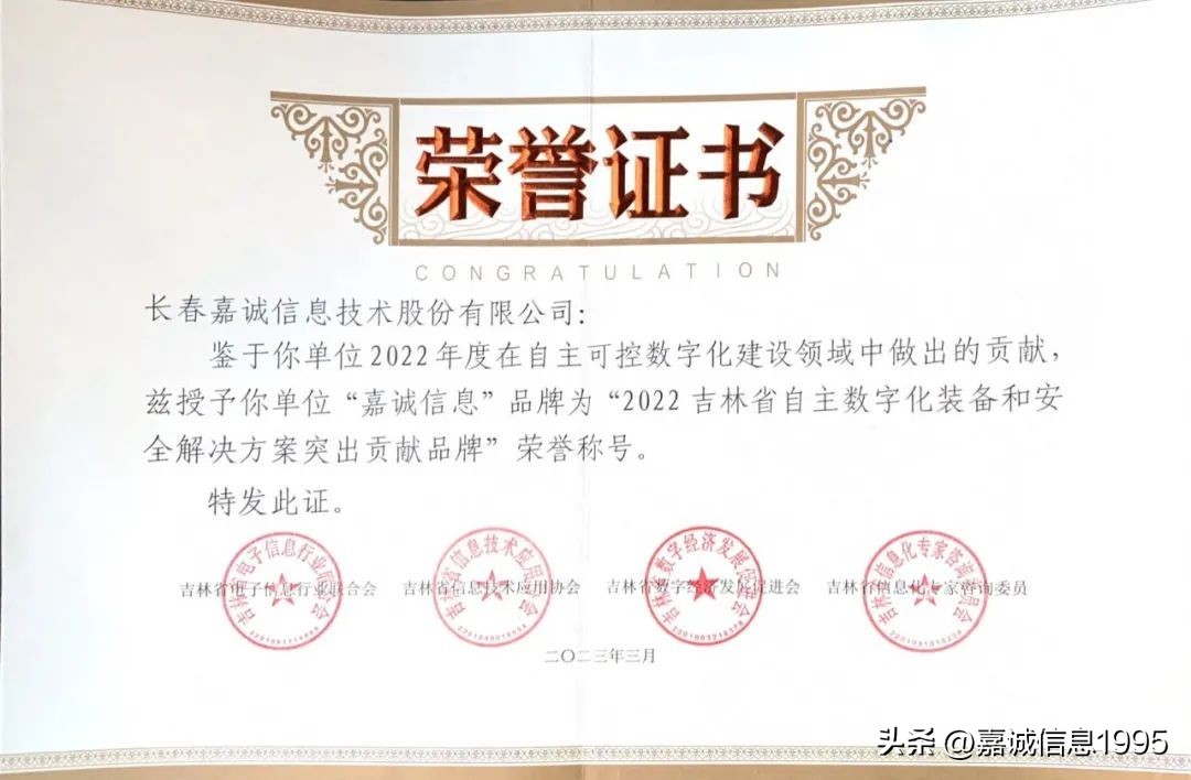 嘉诚信息股份,嘉诚信息科技服务