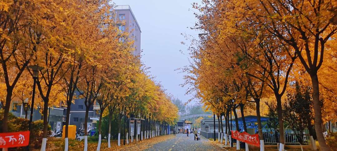 北京租房攻略注意事项,北京海淀区租房攻略