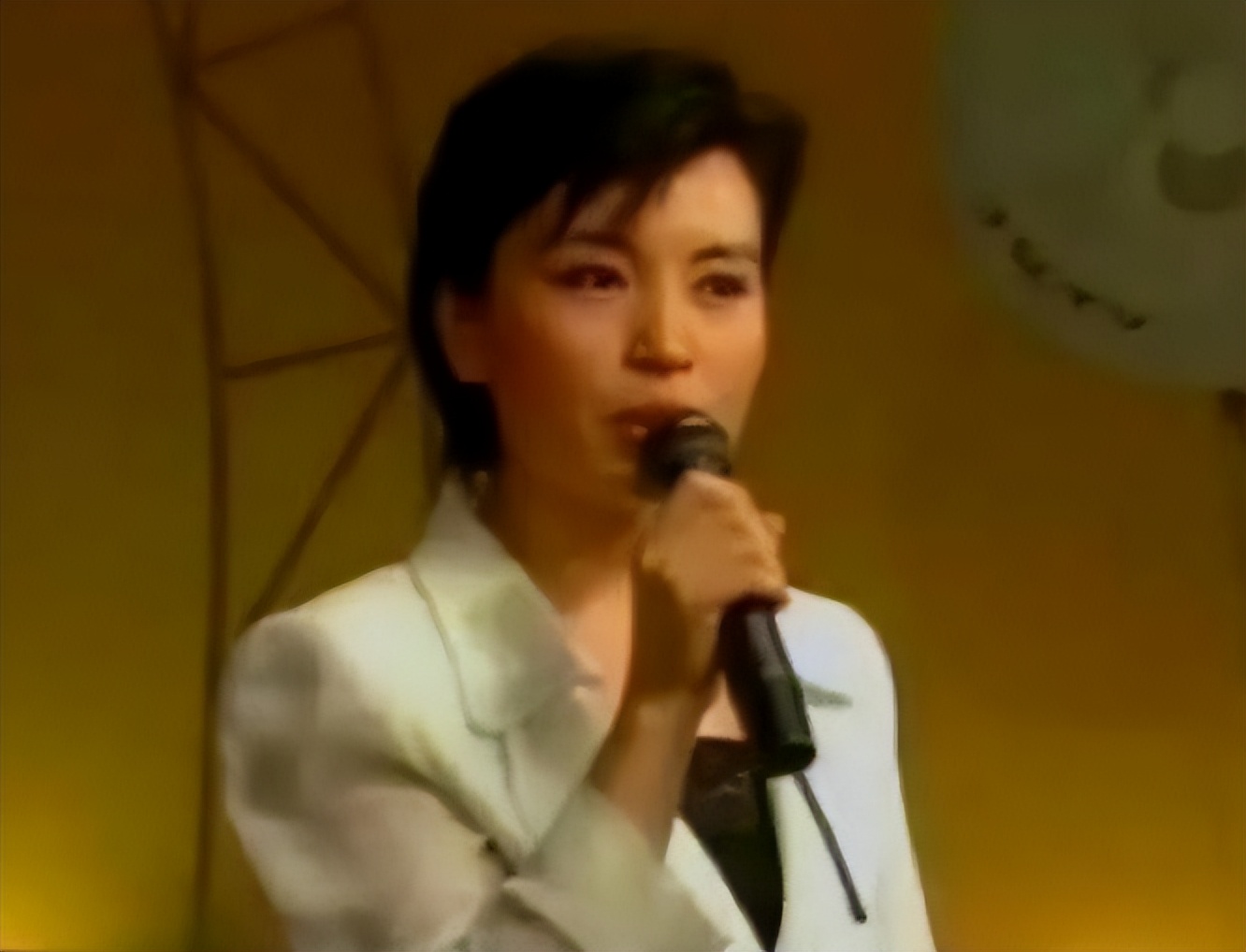 央视主播李瑞英儿子坠楼,央视新闻主播李瑞英怎样了