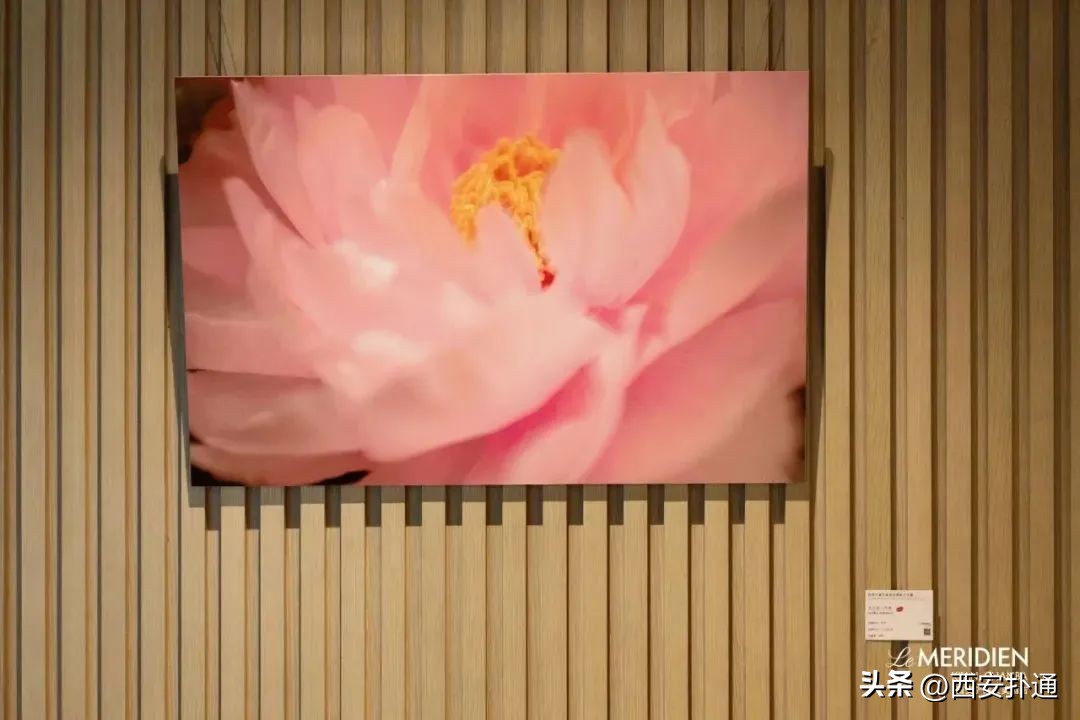 西安5月看展指南,西安五一看展指南