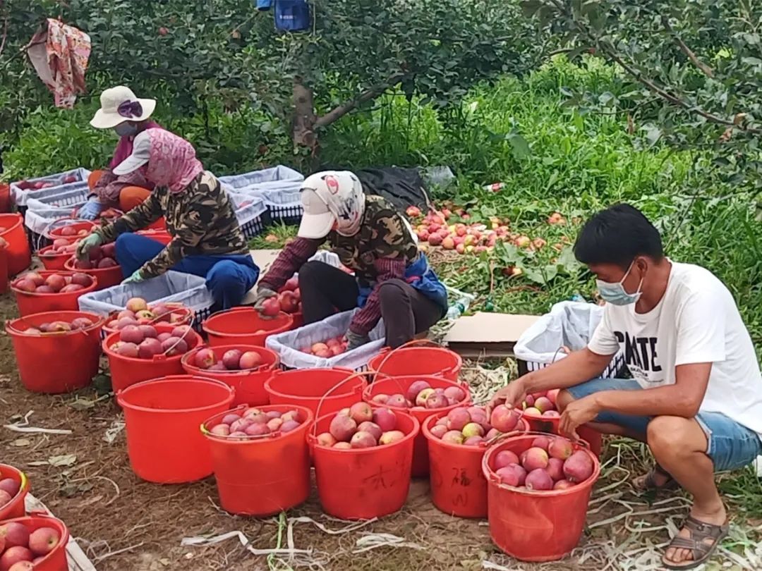 闇嶅皵鏋滄柉甯備紛杞﹀槑鍠勯敗浼埂,闇嶅皵鏋滄柉甯備紛杞﹀槑鍠勯敗浼皯鏃忎埂