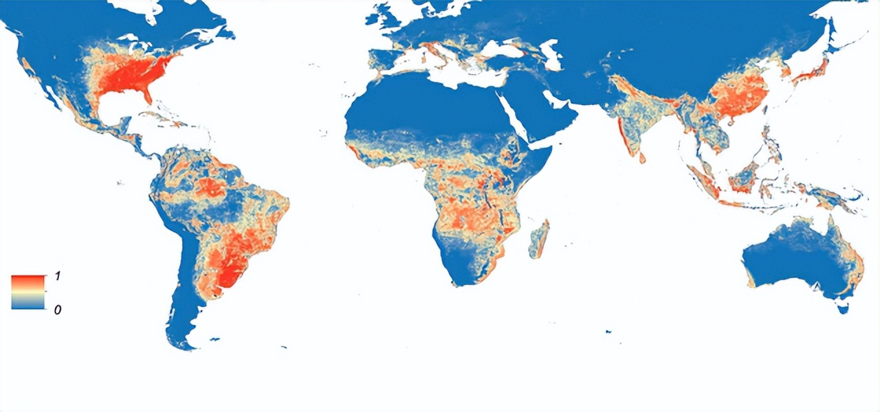 花蚊子为何令人们闻风丧胆,带毒的花蚊子从哪里来