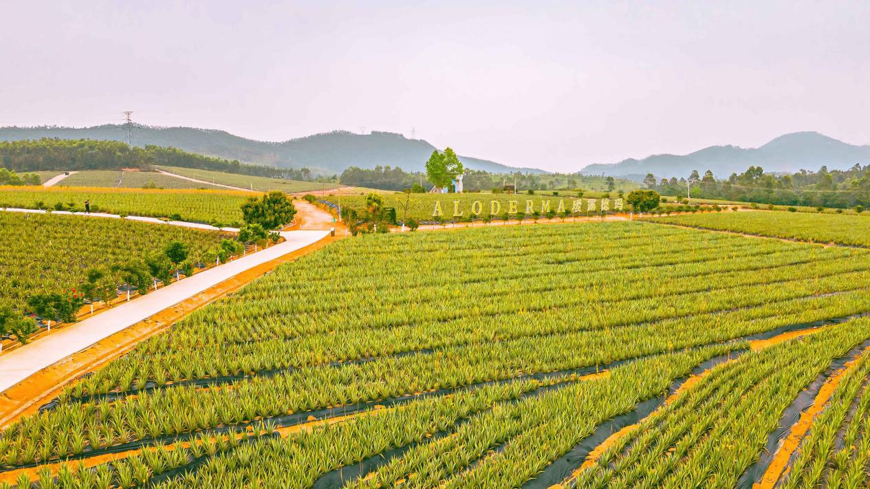 重庆瑷露德玛芦荟生活馆加盟费用,瑷露德玛芦荟生活馆世纪东城店