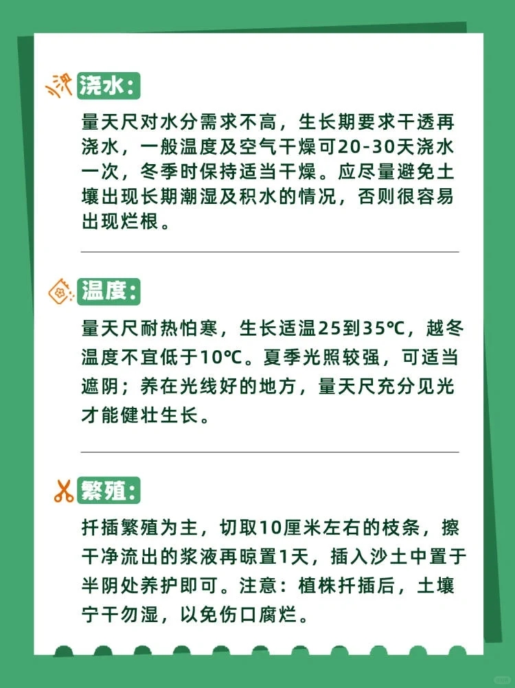 量天尺冬天养护方法,量天尺的寓意及养护