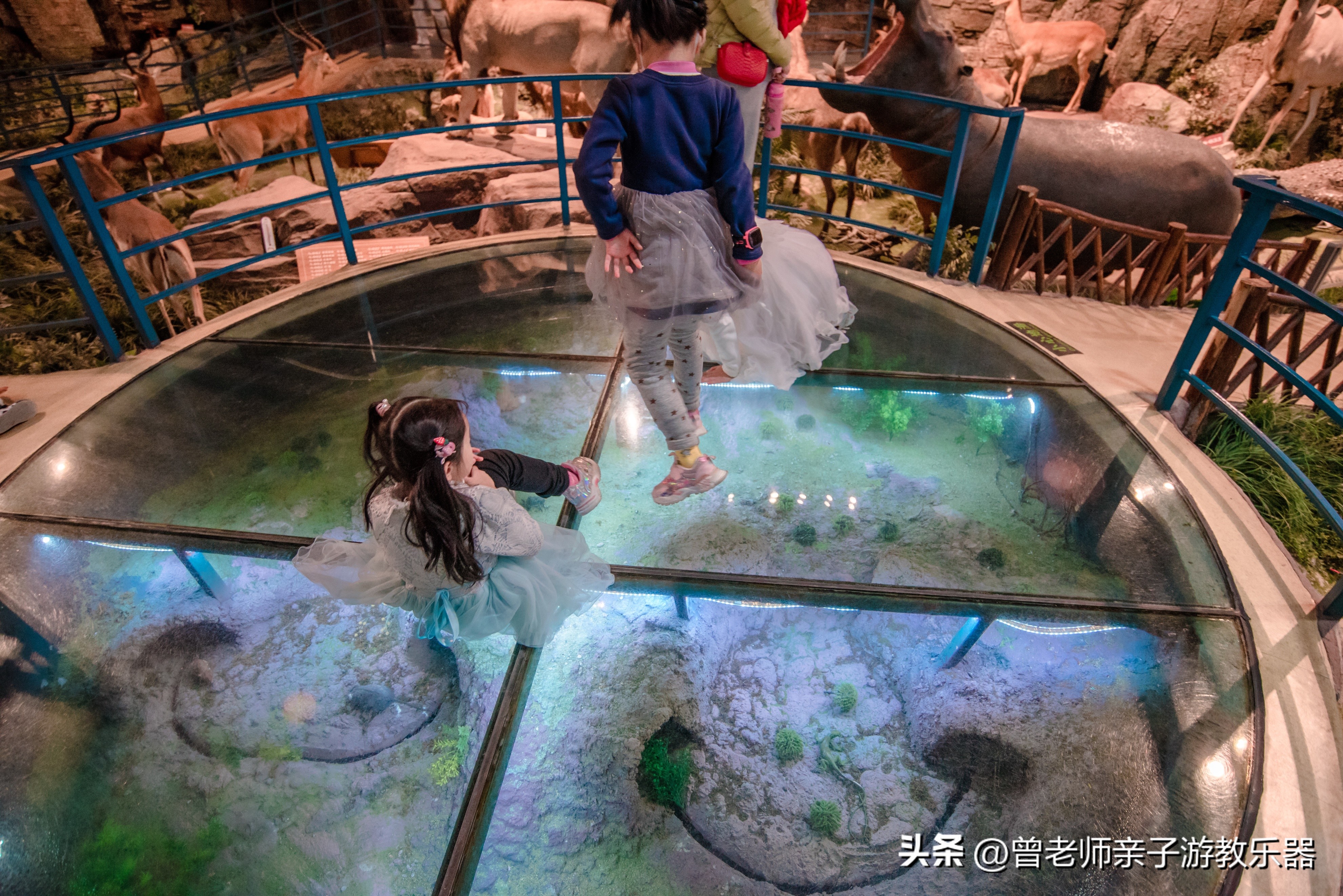 西安2023旅游攻略,2023年西安必去景点